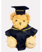 Graduation Bear (Master's Degree)
